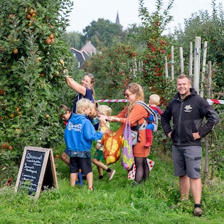 Plukkende families redden het gedeukte fruit van boer Bouwmeester