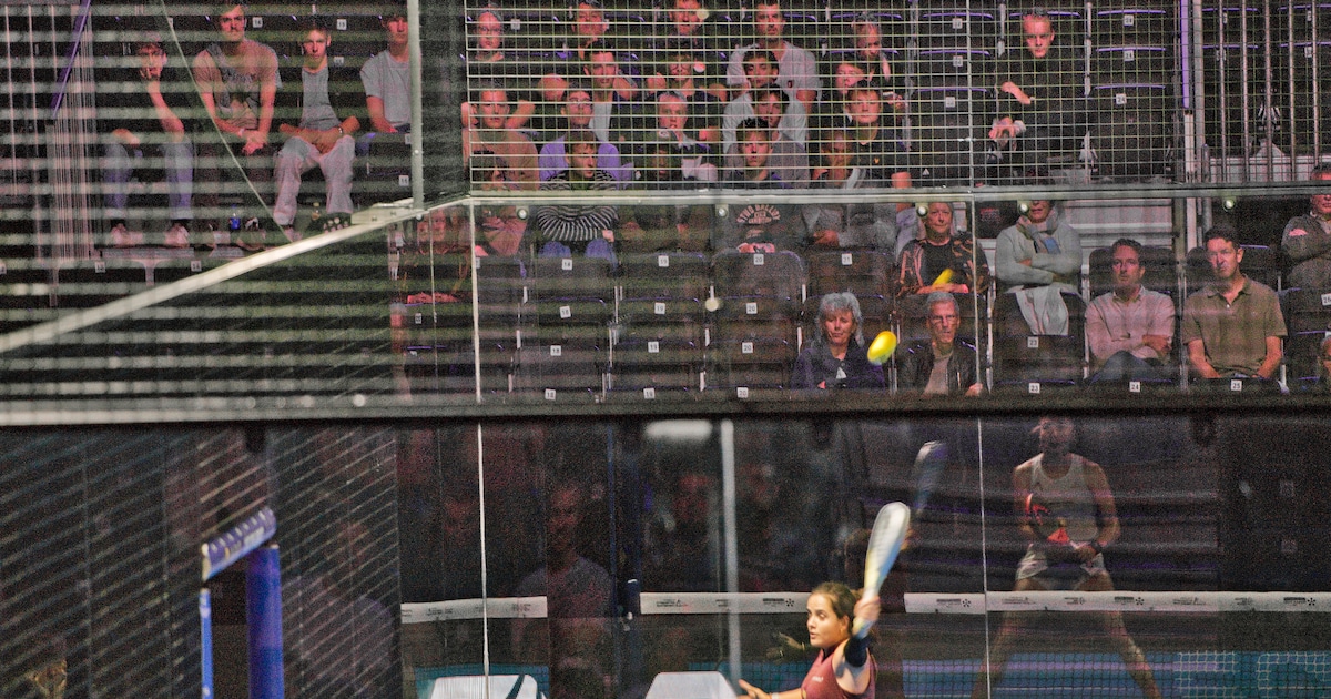 Padel groeit in Nederland maar door, maar de aandacht voor de sport blijft achter