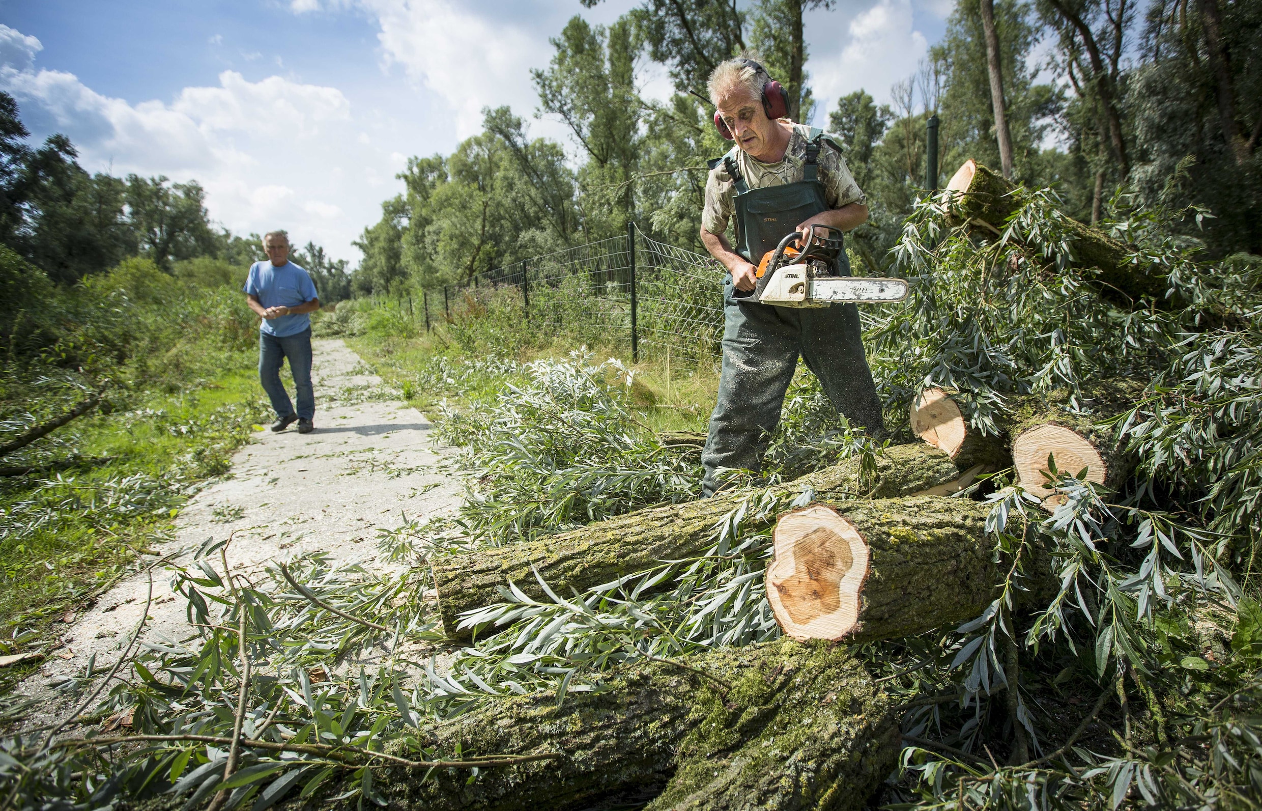 Natuurmonumenten stopt met het kappen van bomen | Trouw