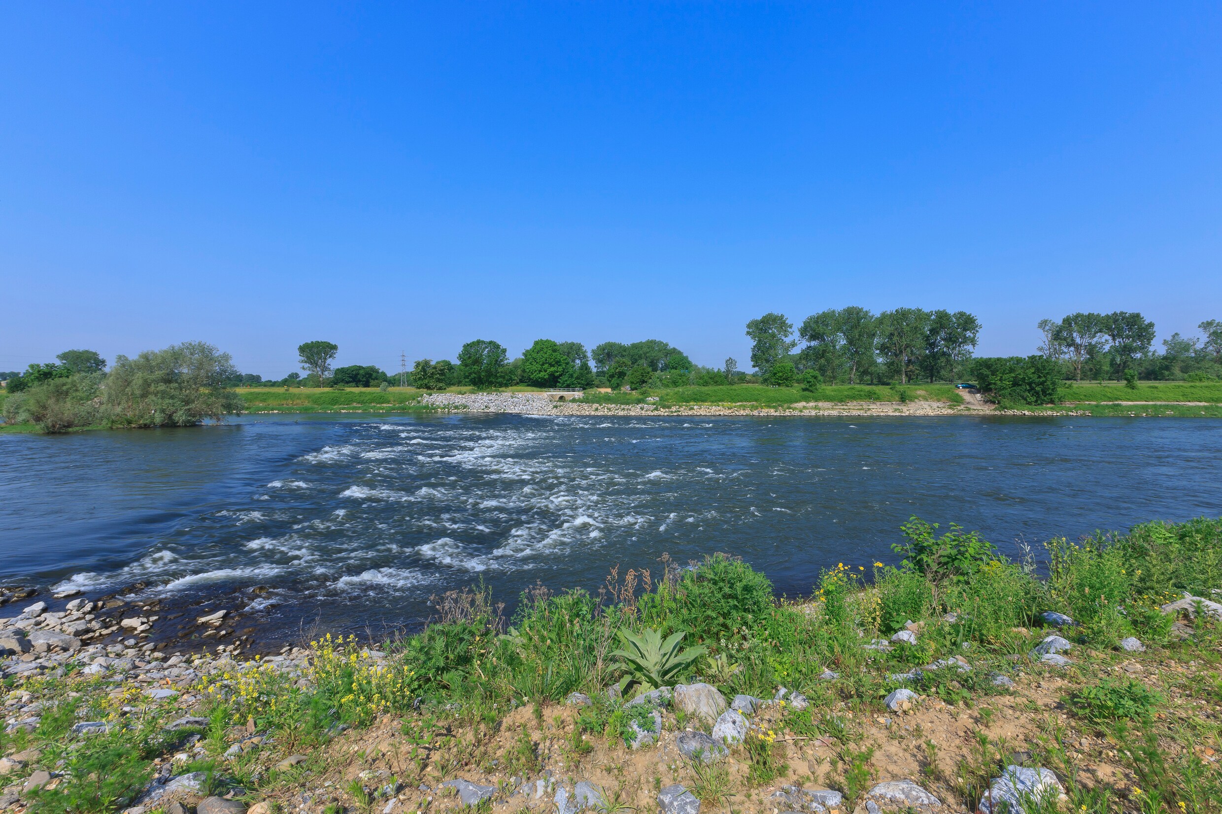 Natuurmonumenten daagt Rijkswaterstaat voor de rechter over kappen van ...