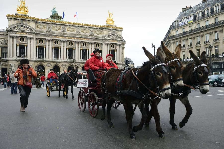 Woedende Franse ruiters de straat op, met paard en pony | Trouw