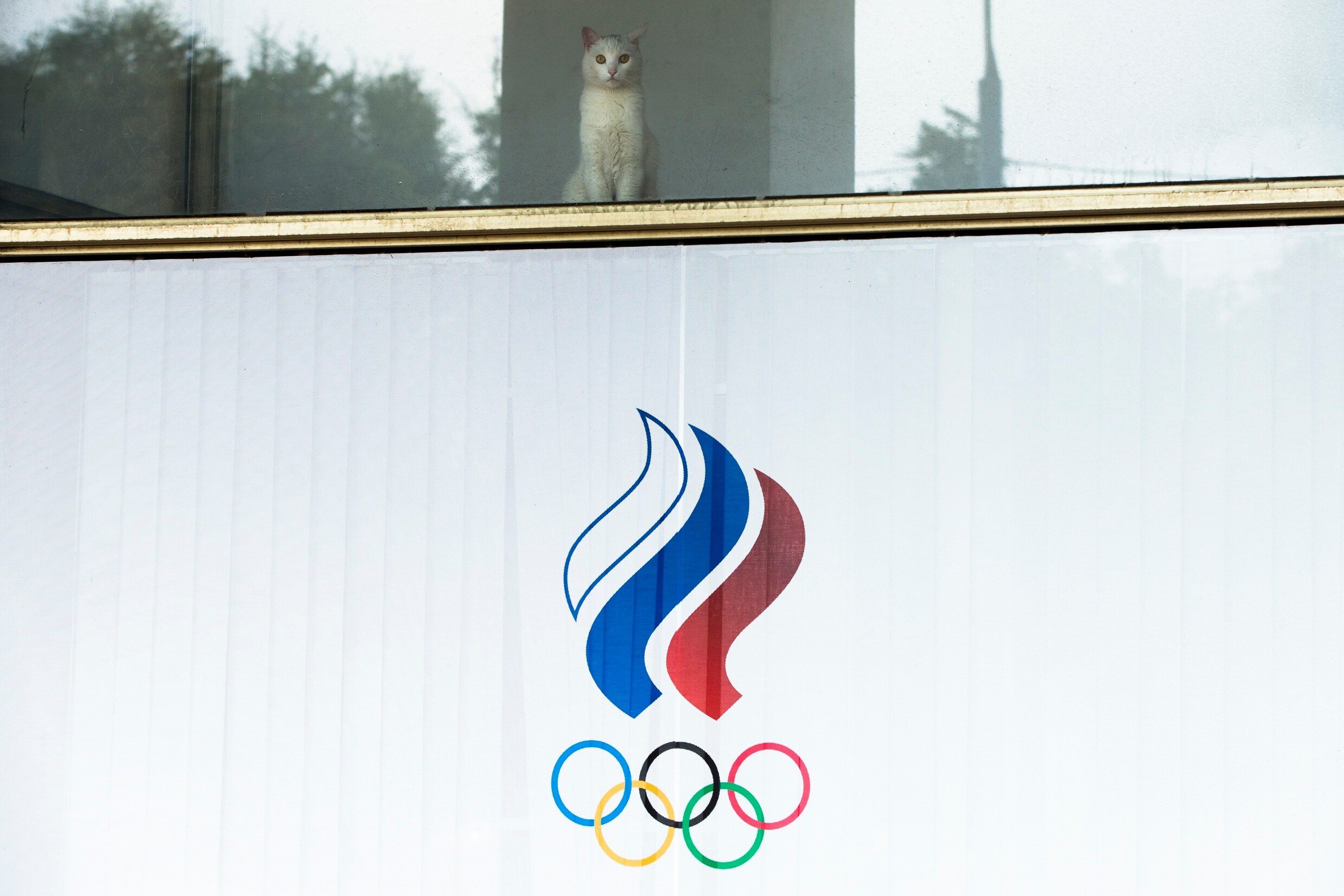 Russische sporters mogen onder strenge voorwaarden toch naar Spelen