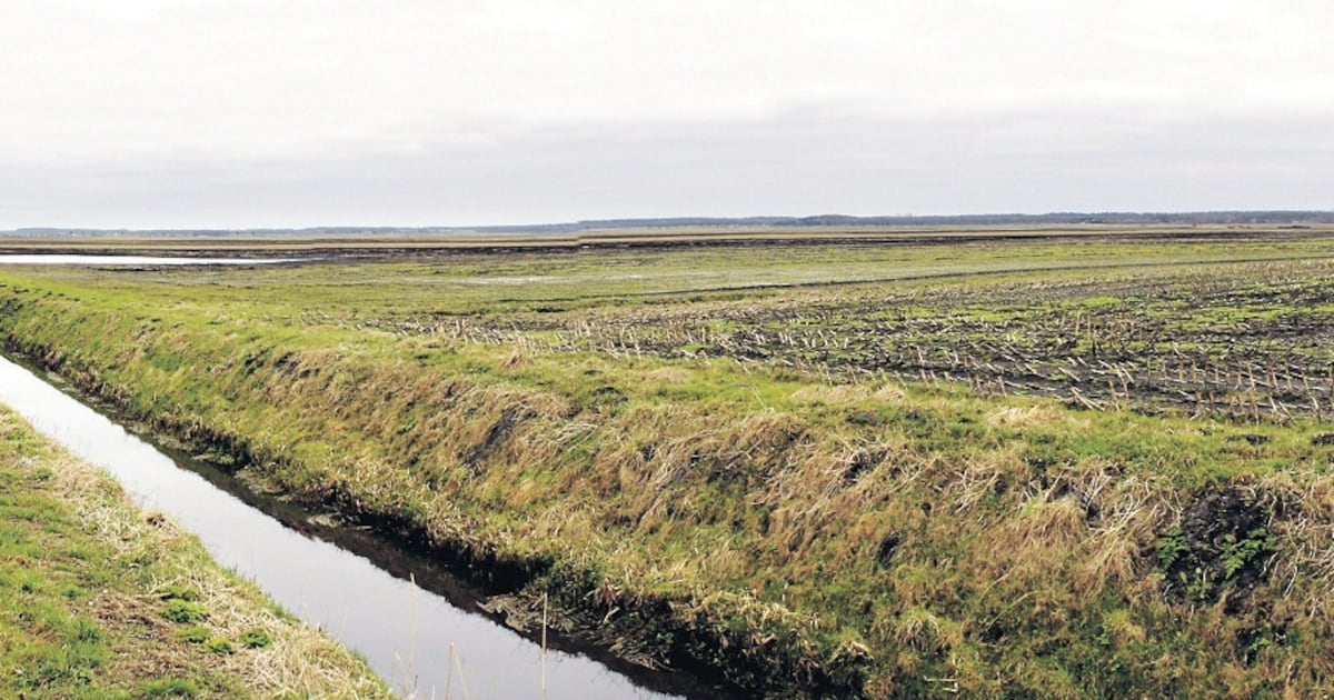 Vechten tegen windmolens