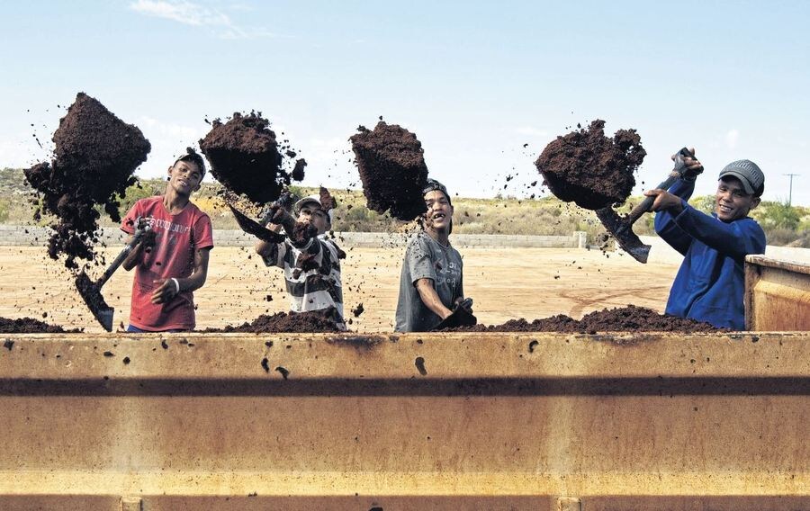 Boeren van de Heiveld Coöperatie scheppen de gefermenteerde rooibosthee om.