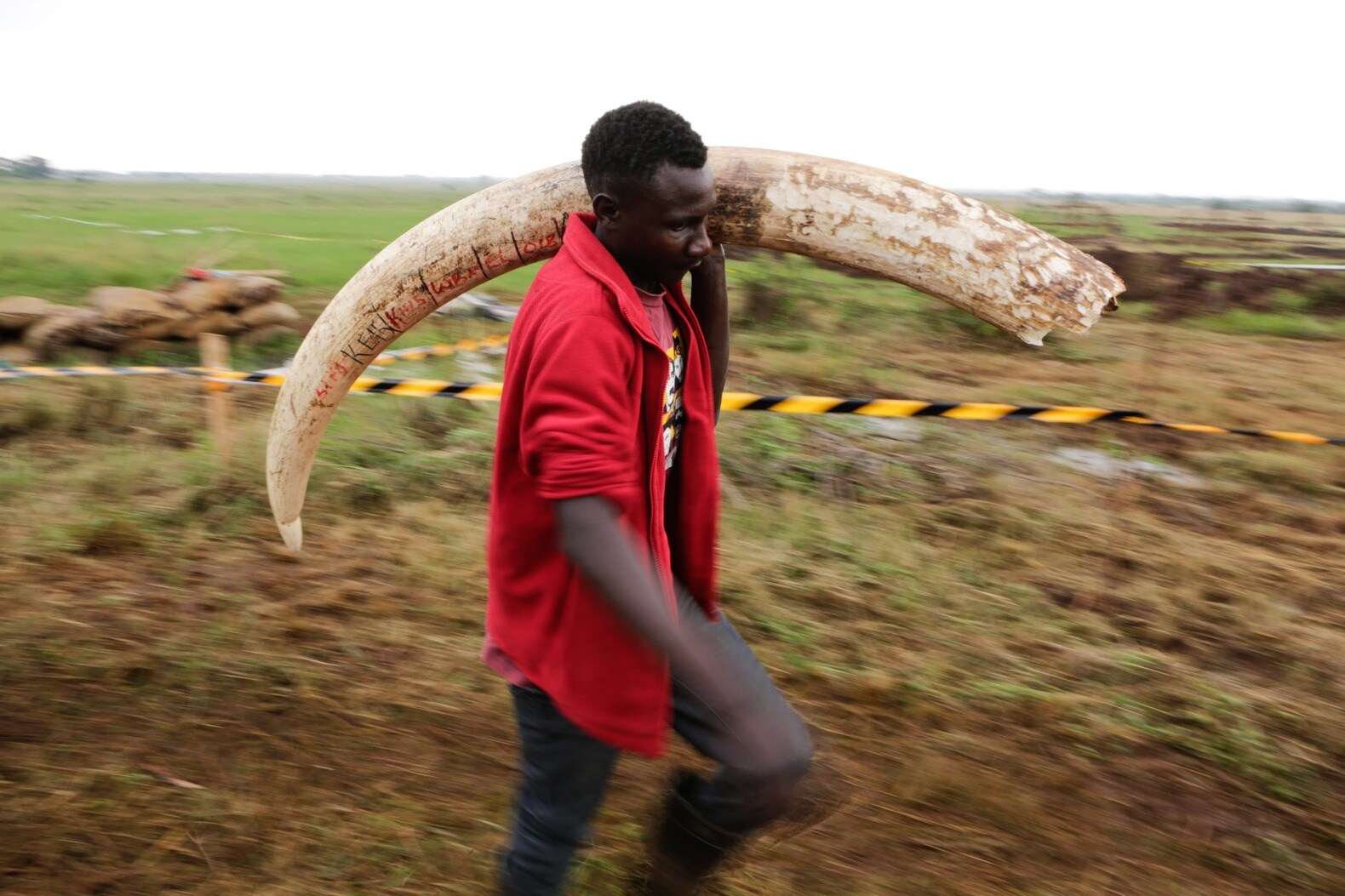 Kenia verbrandt 105 ton ivoor, maar heeft dat zin?