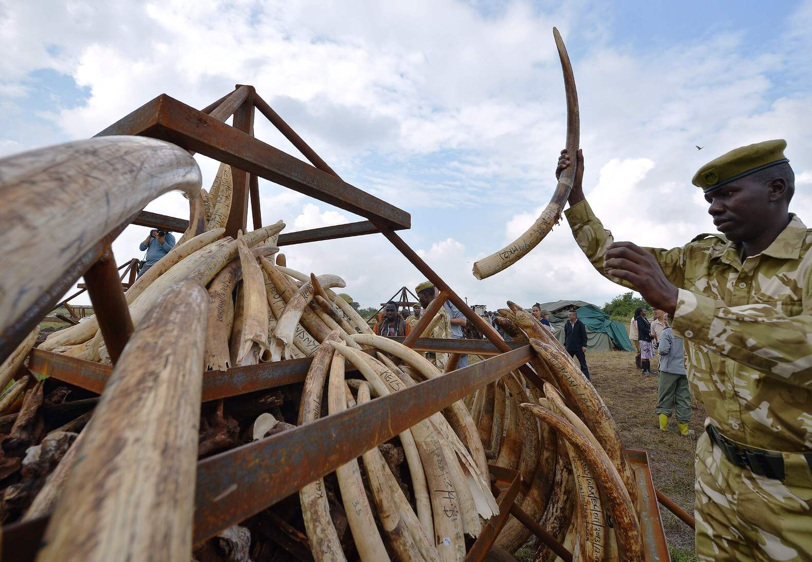 Kenia verbrandt 105 ton ivoor, maar heeft dat zin?
