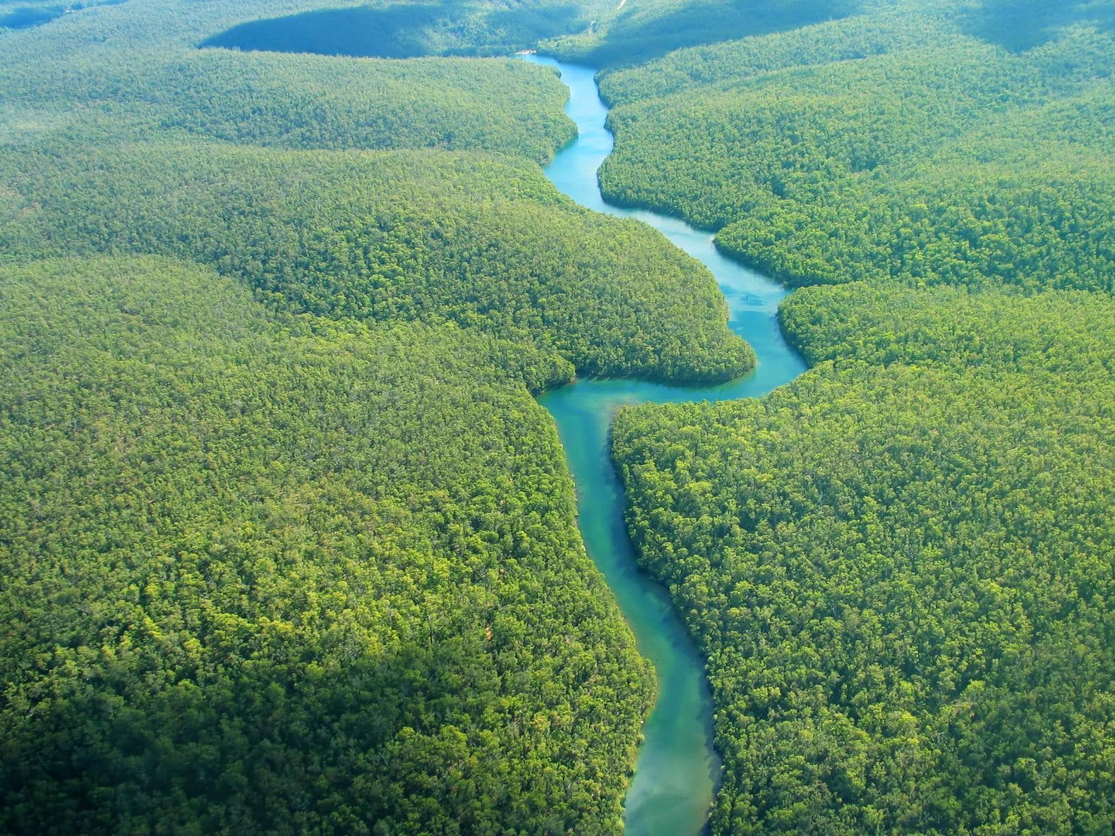Onderzoekers slaan alarm: Amazone verstikt door droogte