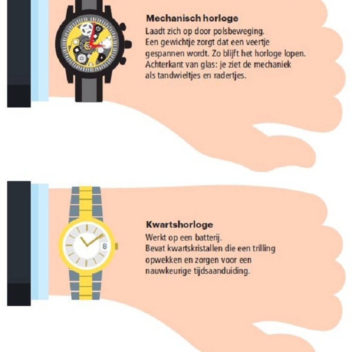 Het of de horloge best sale