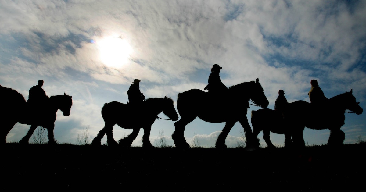 Een ochtend straô rieën hoort erbij op Schouwen-Duiveland